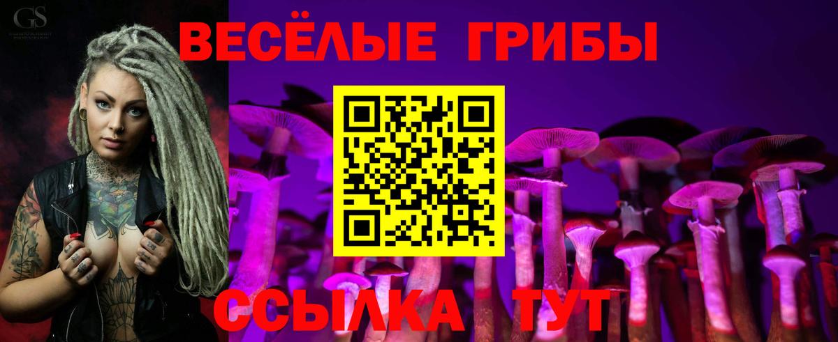 Псилоцибиновые грибы мицелий Кинель