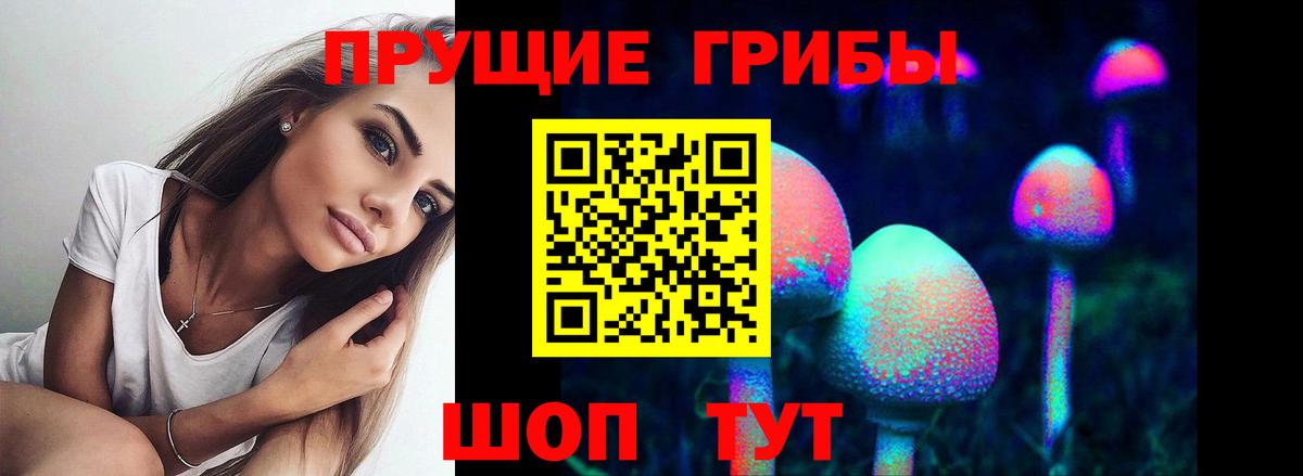 Кинель  наркотики  Вход с VPN  Псилоцибиновые грибы мицелий  Галлюциногенные грибы Psilocybine cubensis 